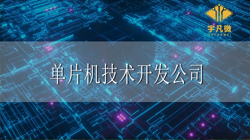 單片機(jī)技術(shù)開(kāi)發(fā)公司和生產(chǎn)商的區(qū)別 單片機(jī)技術(shù)開(kāi)發(fā)公司和生產(chǎn)商的區(qū)別
