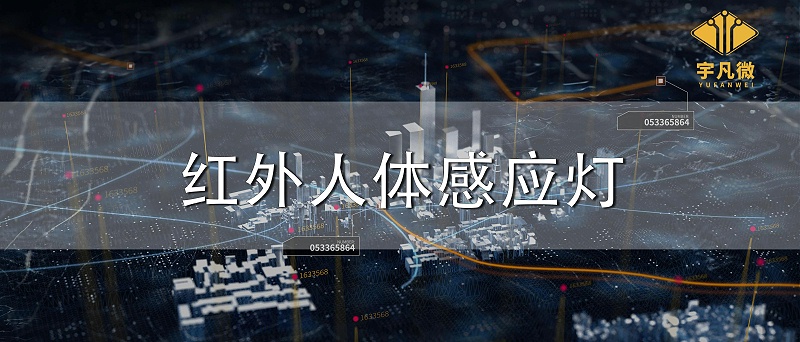 紅外人體感應(yīng)燈 紅外人體感應(yīng)燈