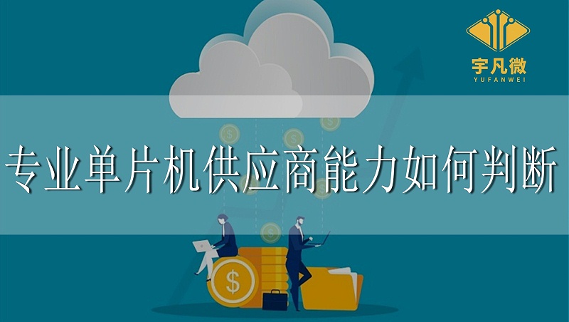 專業(yè)單片機供應(yīng)商能力如何判斷 專業(yè)單片機供應(yīng)商能力如何判斷