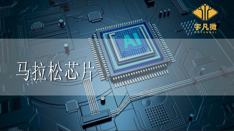 馬拉松芯片的種類 馬拉松芯片的種類