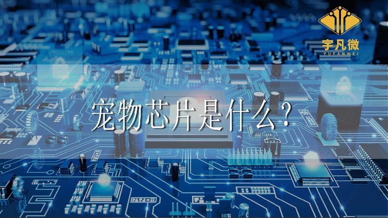 寵物芯片是什么 寵物芯片是什么